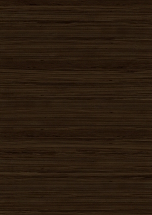 ModernWood Texture