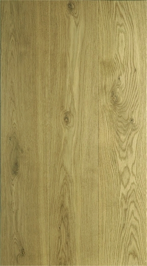 ModernWood Texture