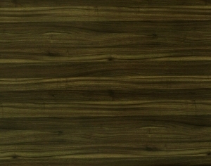 ModernWood Texture