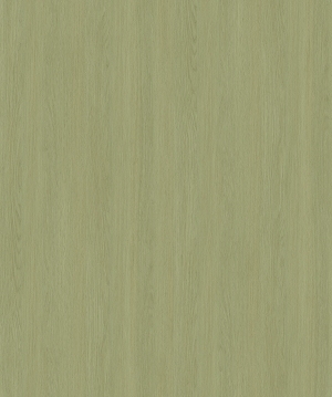 ModernWood Texture