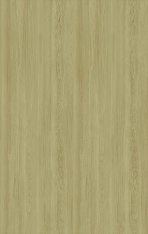 ModernWood Texture