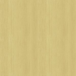 ModernWood Texture