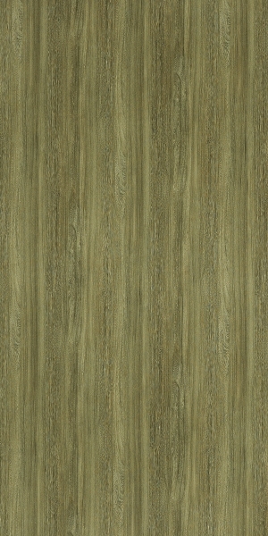 ModernWood Texture
