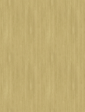 ModernWood Texture