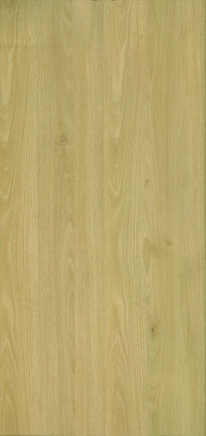 ModernWood Texture