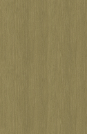 ModernWood Texture