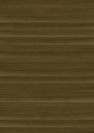ModernWood Texture