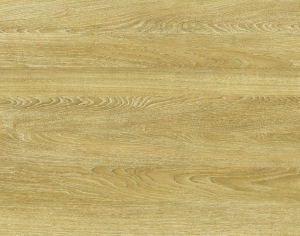 ModernWood Texture