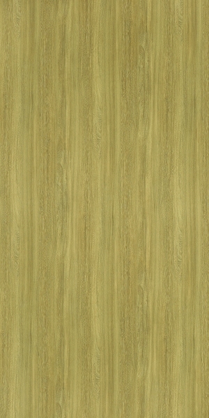 ModernWood Texture