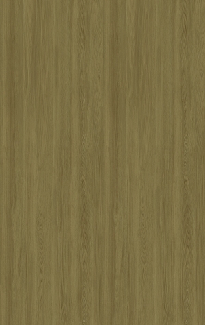 ModernWood Texture