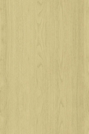 ModernWood Texture