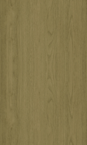 ModernWood Texture