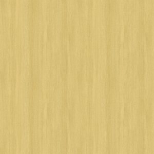 ModernWood Texture