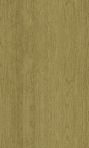 ModernWood Texture