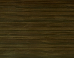 ModernWood Texture