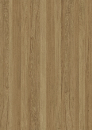 ModernWood Texture