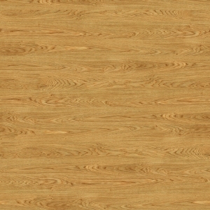 ModernWood Texture