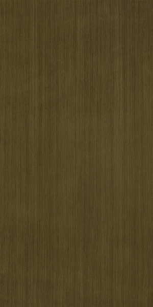 ModernWood Texture
