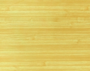 ModernWood Texture