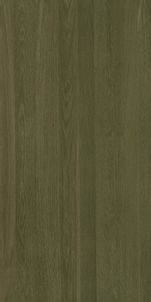 ModernWood Texture