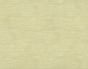 ModernWood Texture