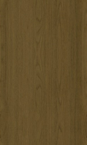 ModernWood Texture