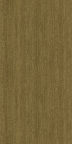 ModernWood Texture