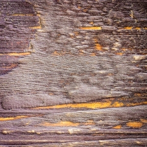 ModernWood Texture