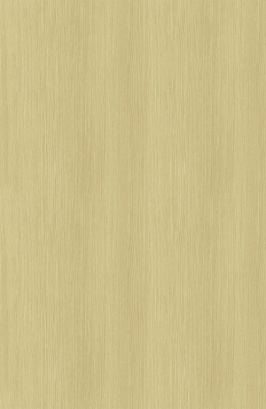 ModernWood Texture
