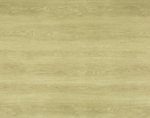 ModernWood Texture