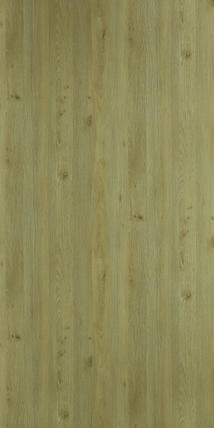 ModernWood Texture
