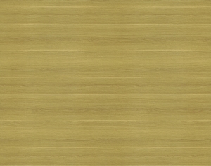 ModernWood Texture