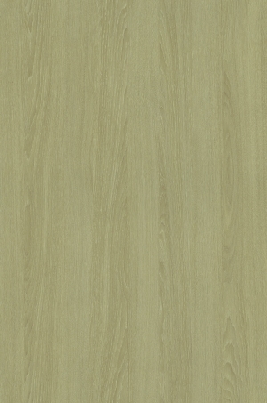 ModernWood Texture
