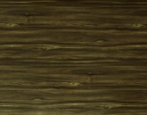ModernWood Texture