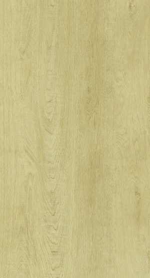 ModernWood Texture