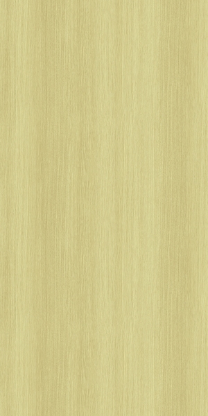 ModernWood Texture