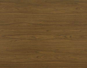 ModernWood Texture