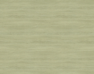 ModernWood Texture