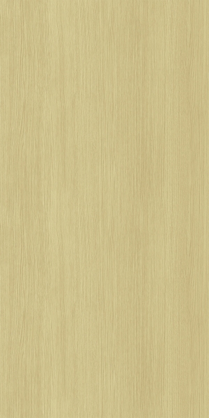 ModernWood Texture
