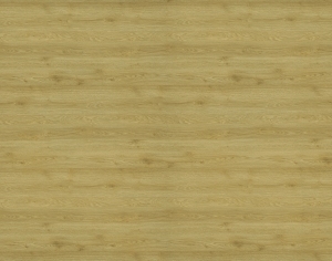 ModernWood Texture