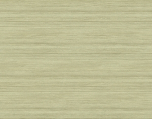 ModernWood Texture