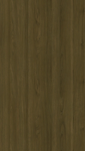 ModernWood Texture