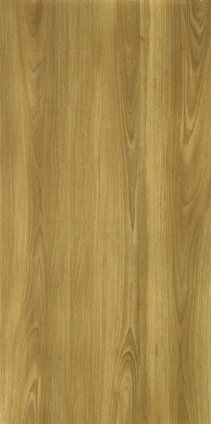 ModernWood Texture