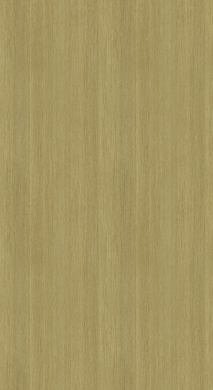 ModernWood Texture
