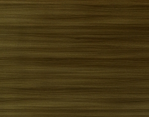ModernWood Texture