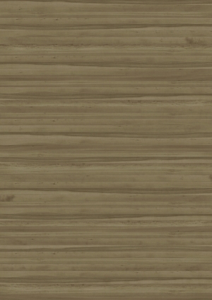 ModernWood Texture