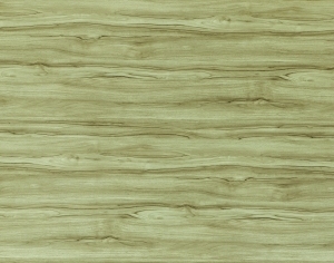 ModernWood Texture
