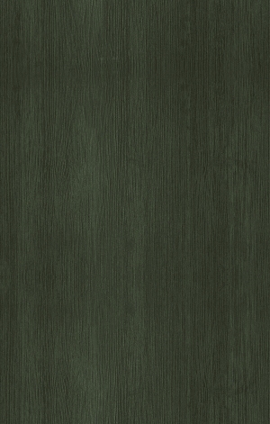 ModernWood Texture