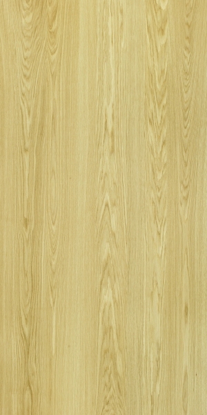 ModernWood Texture