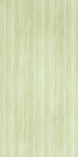 ModernWood Texture